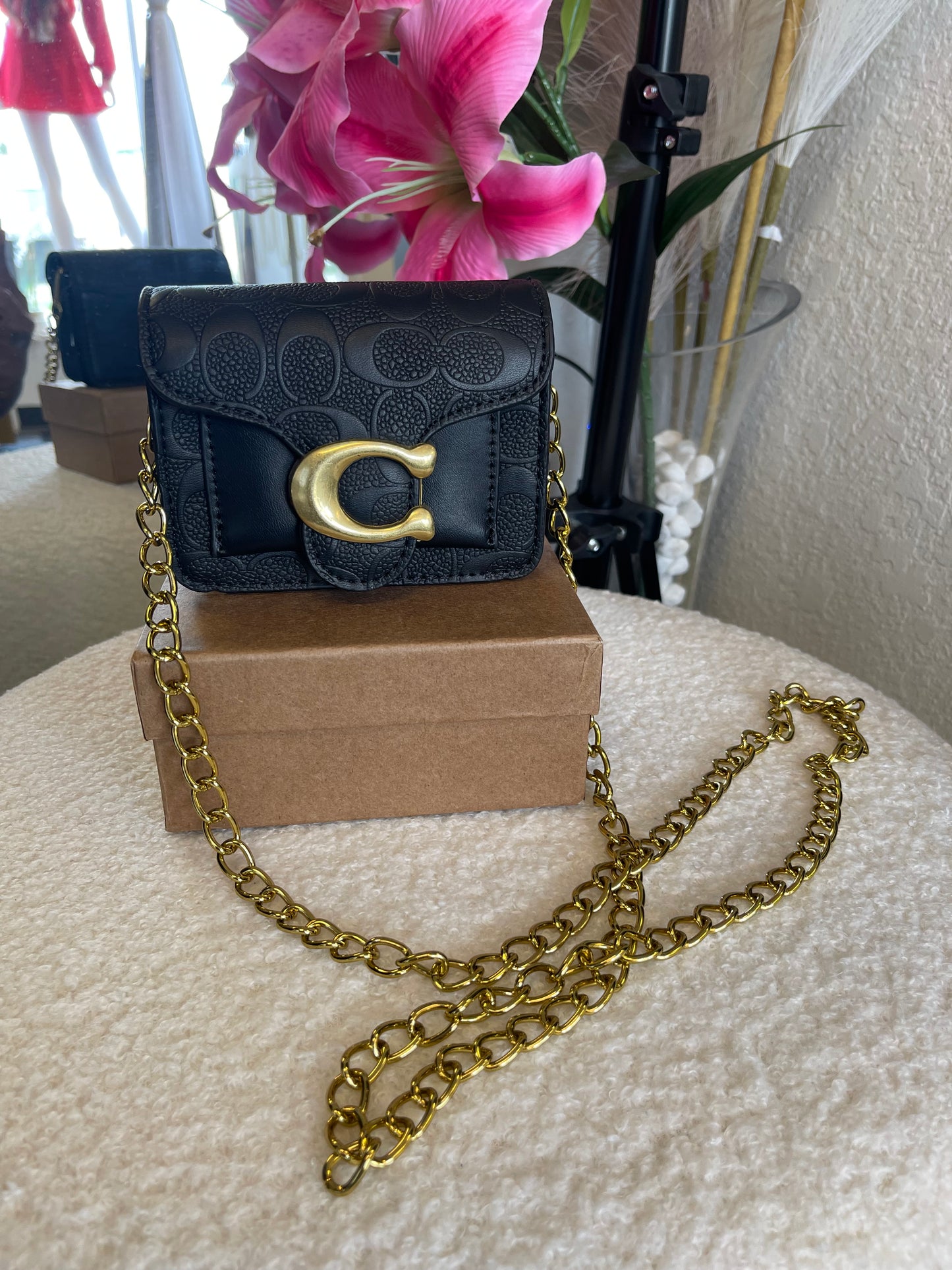 Mini Crossbody 👀