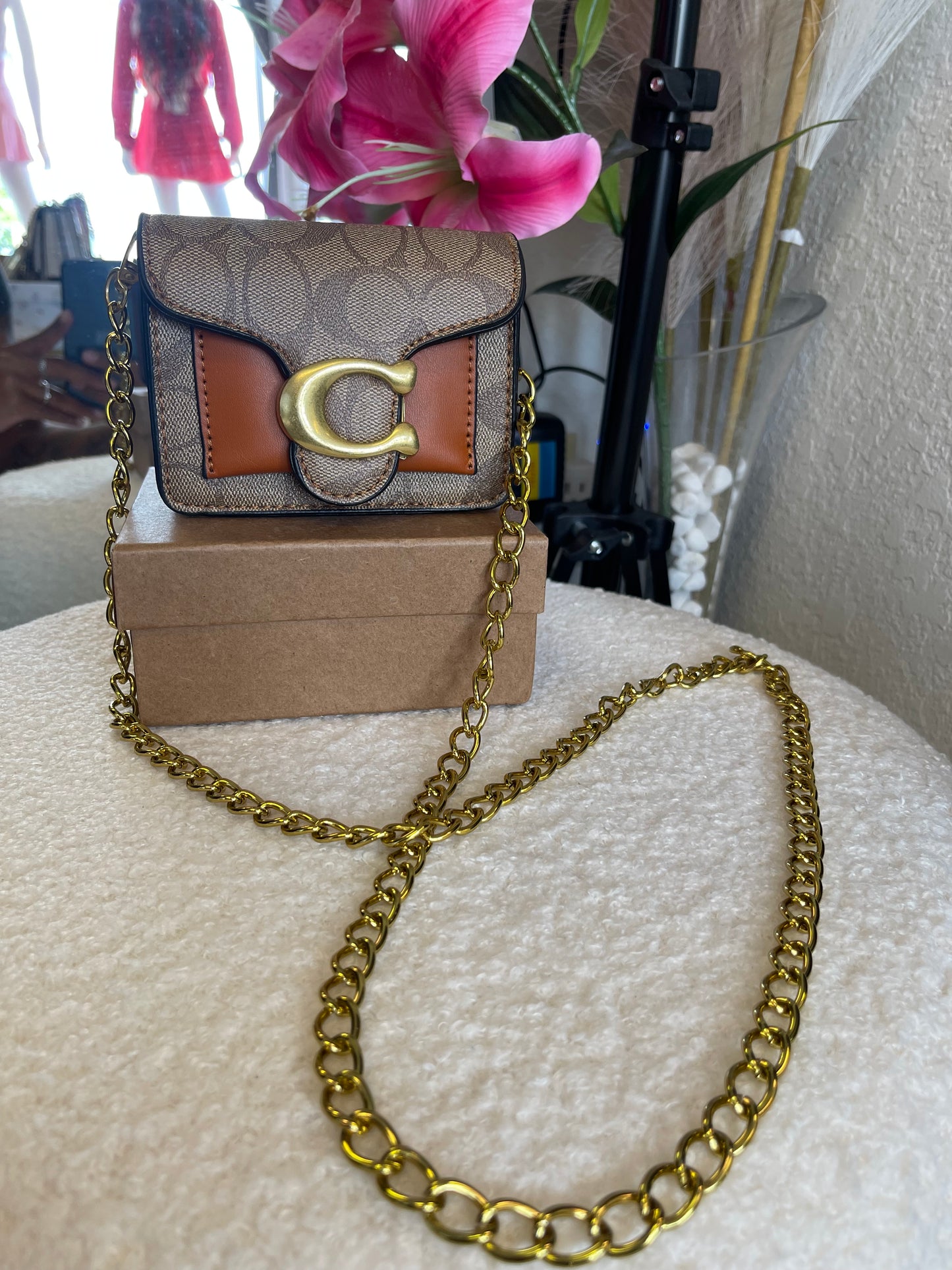 Mini Crossbody 👀