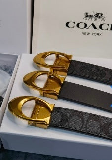 ✨ Essential Unisex Belt