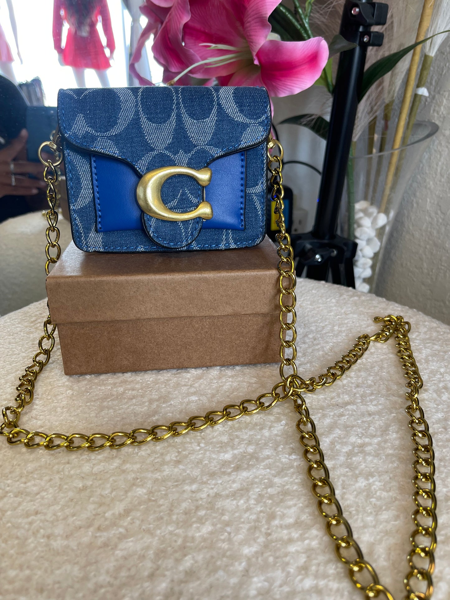 Mini Crossbody 👀