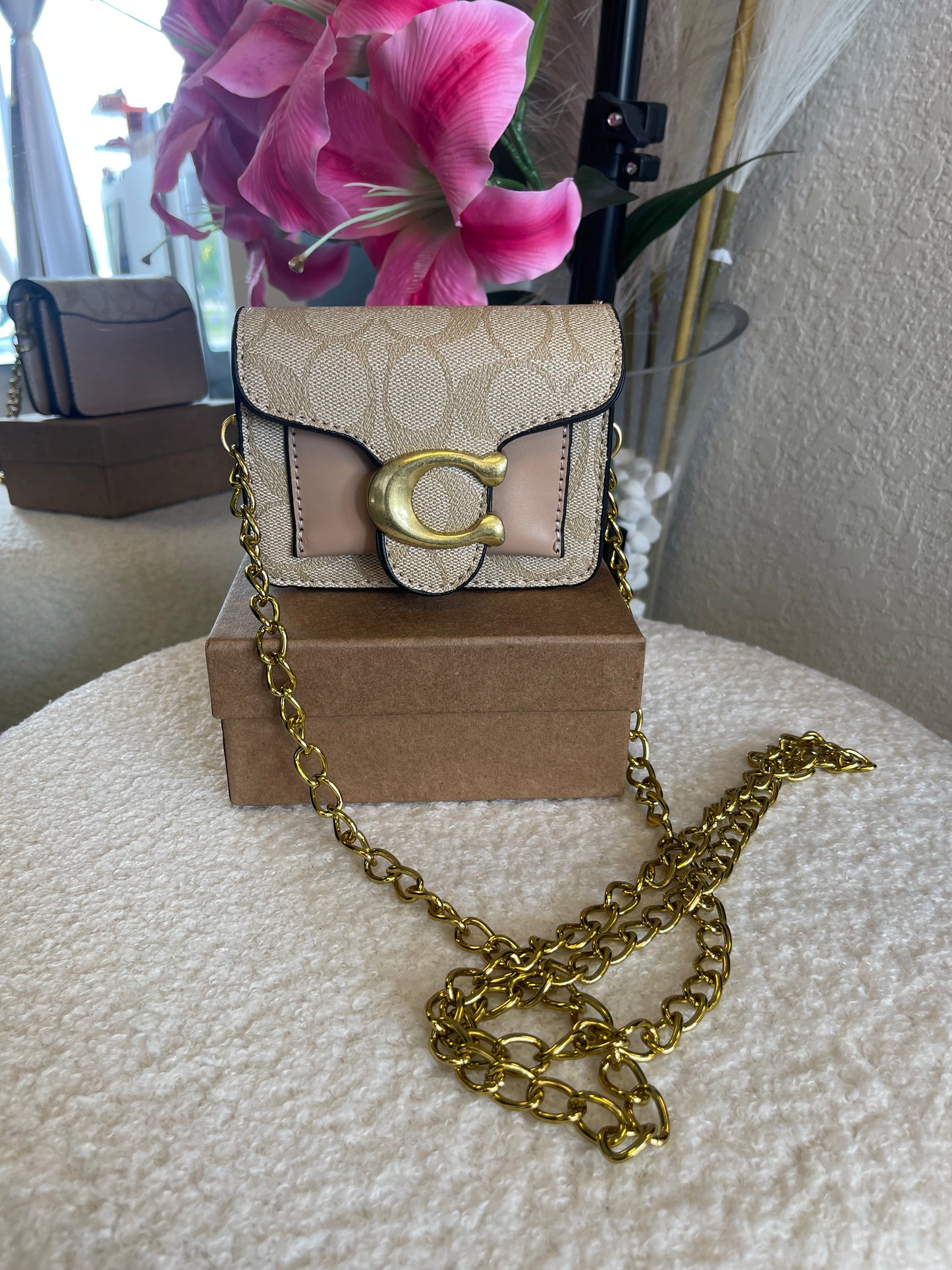 Mini Crossbody 👀