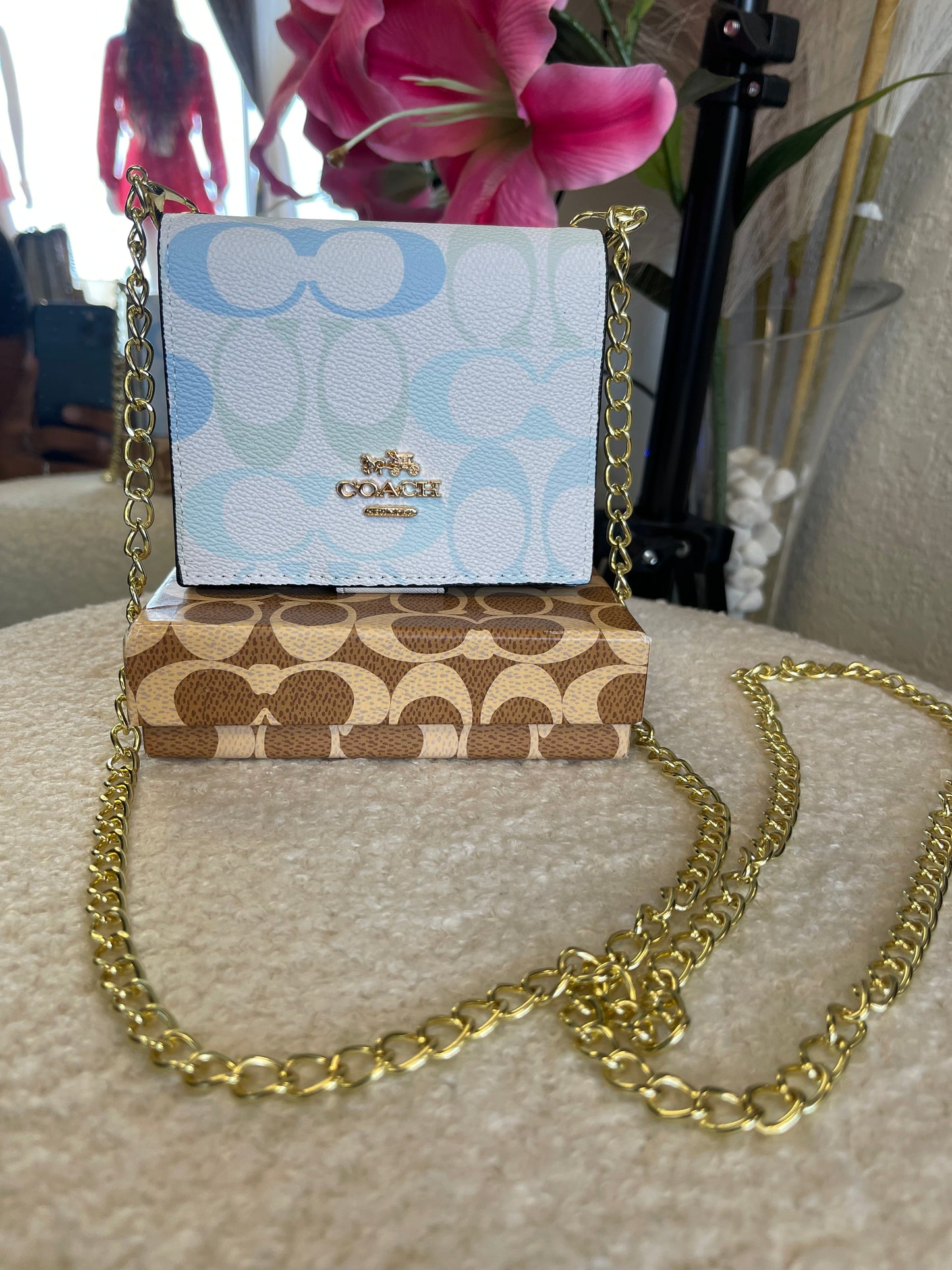 Mini Luxe Cardholder Crossbody🌈
