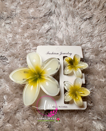 HAIR CLIPS FLOWERS GLOSSY🌺